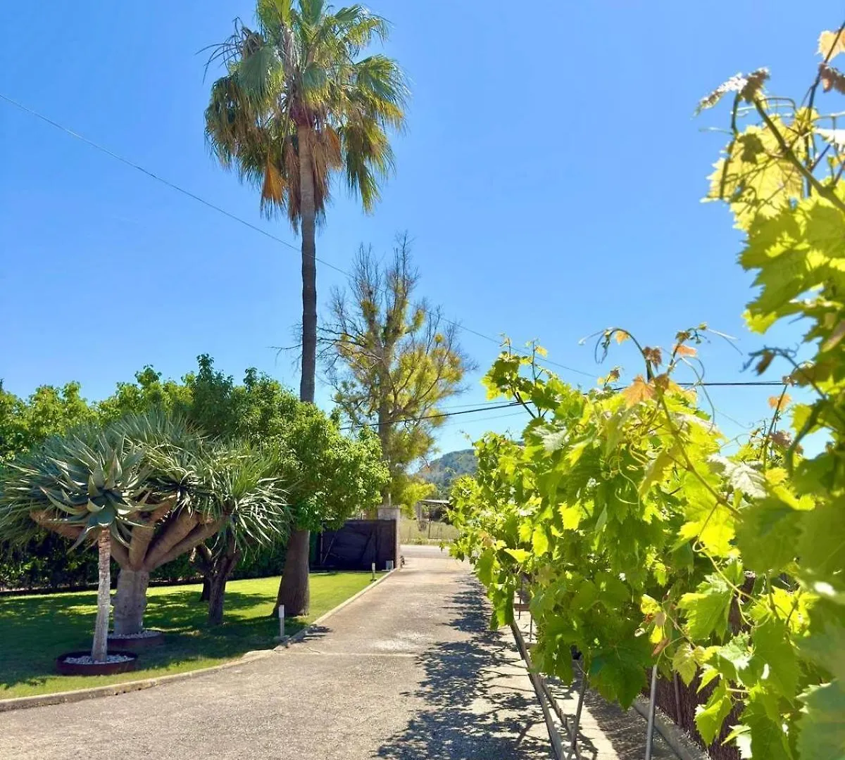 Ferienhaus Sa Figuera Roja Alcúdia Spanien